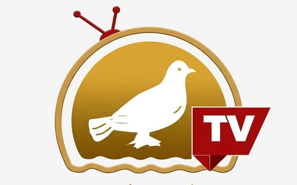 Siasat TV